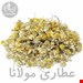  بابونه شیرازی