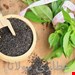  تخم شربتی