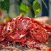 اسلایس گوجه فرنگی خشک شده نمکی