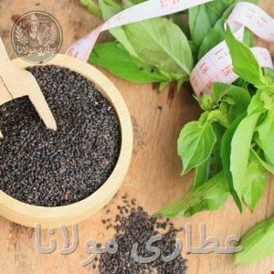 تخم شربتی ریز