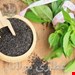 تخم شربتی ریز یک کیلویی