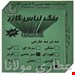 رنگ لباس سبز یشمی