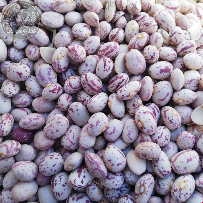 لوبیا چیتی خارجی درجه ۱