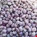 لوبیا چیتی خارجی درجه ۱ یک کیلو گرمی