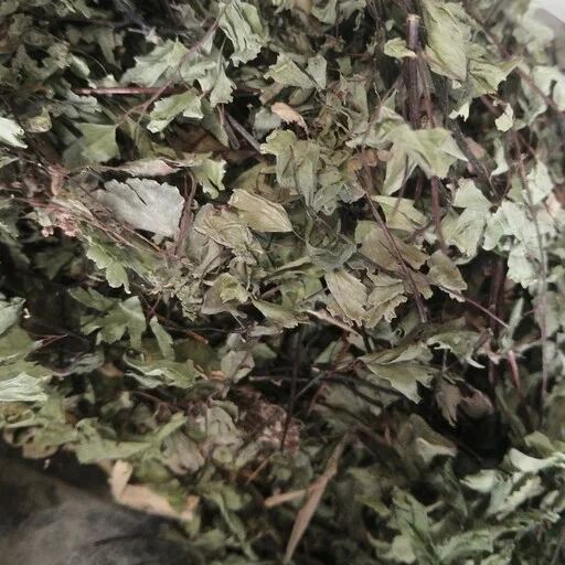 پر سیاوشان