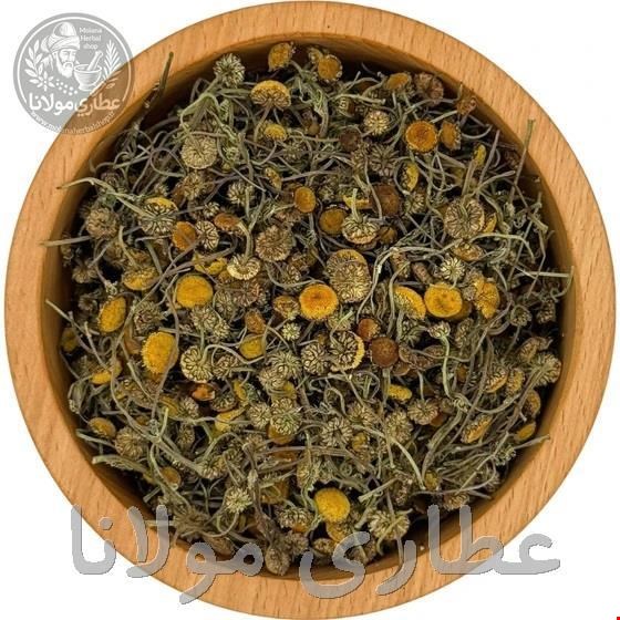 بابونه اردبیلی