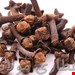   میخک درشت ۲